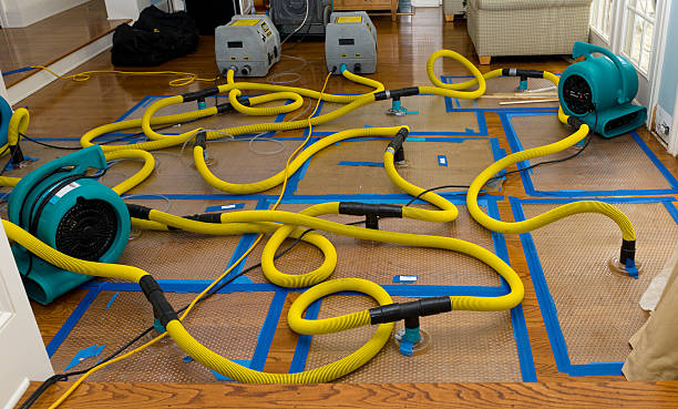 Professional Emergency Water Removal technician working in Reedsville, WI